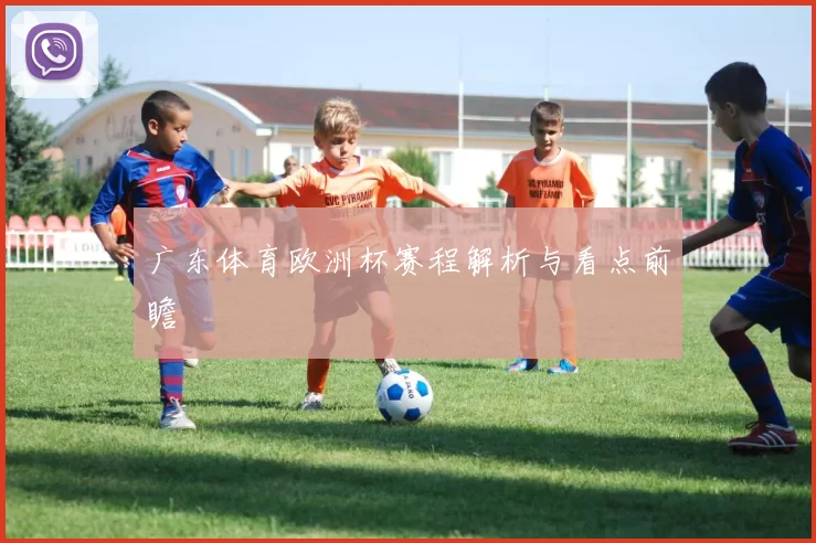 广东体育欧洲杯赛程解析与看点前瞻