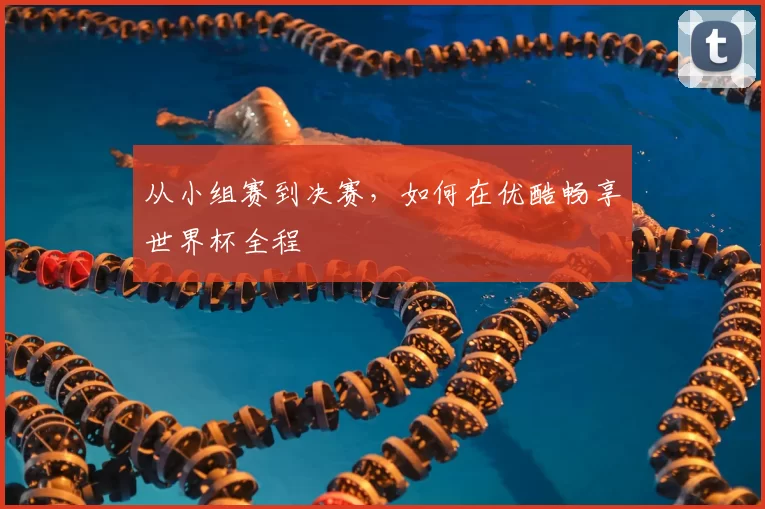 从小组赛到决赛，如何在优酷畅享世界杯全程