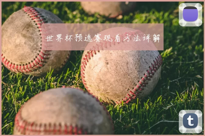 世界杯预选赛观看方法详解