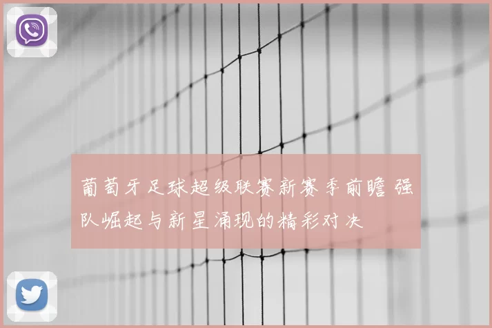 葡萄牙足球超级联赛新赛季前瞻 强队崛起与新星涌现的精彩对决