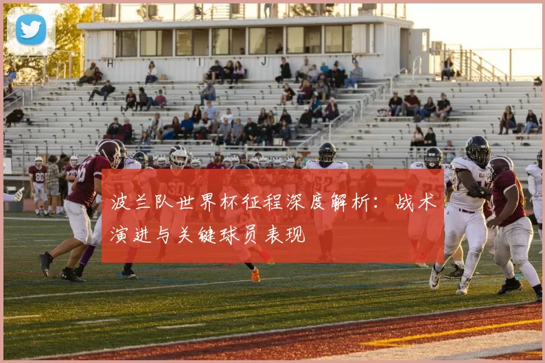 波兰队世界杯征程深度解析:战术演进与关键球员表现
