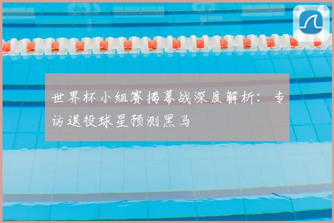 世界杯小组赛揭幕战深度解析:专访退役球星预测黑马