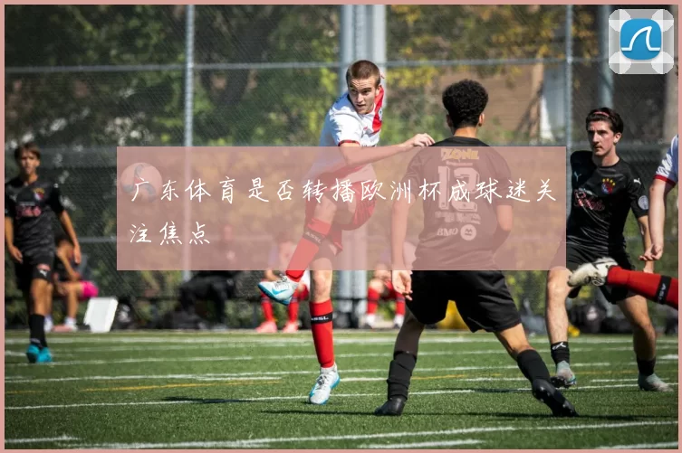 广东体育是否转播欧洲杯成球迷关注焦点