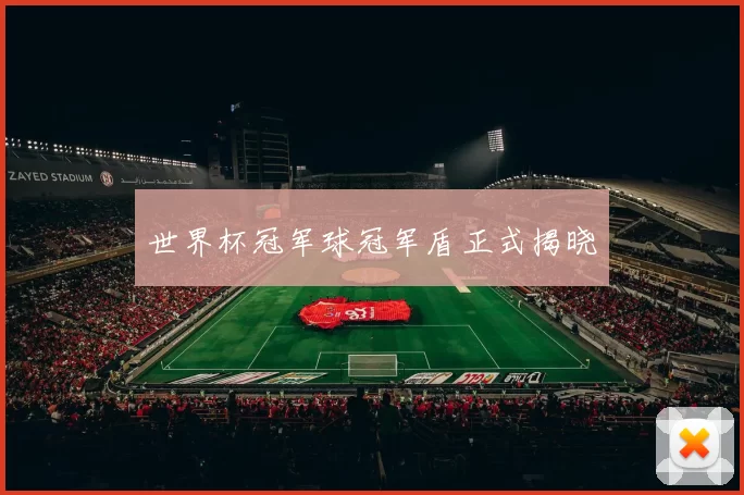 世界杯冠军球冠军盾正式揭晓