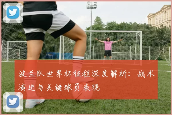 波兰队世界杯征程深度解析:战术演进与关键球员表现