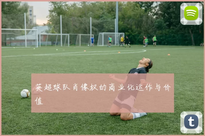英超球队肖像权的商业化运作与价值